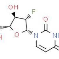 1-(2-脱氧-2-氟-beta-D-阿拉伯呋喃基)尿嘧啶