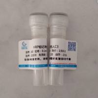 HRP标记羊抗人C3