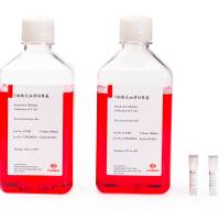 NKT细胞高效扩增试剂盒