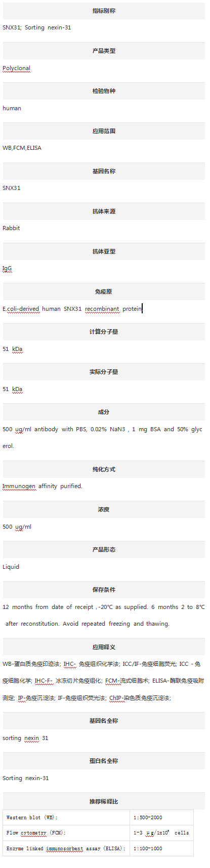 Anti-SNX31 Antibody