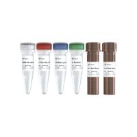 GO-Lyo U+ One Step RT-qPCR Probe Kit（QL229）