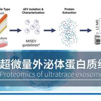 超微量外泌体DIA蛋白质组