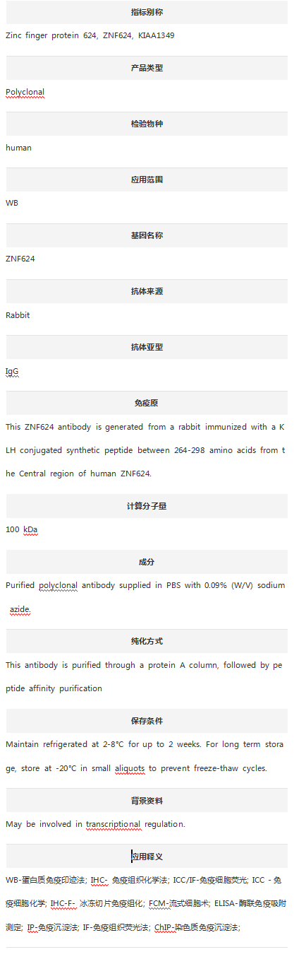 Anti-ZNF624 Antibody (Center)