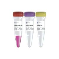 Mycolor One-Step Mycoplasma Detector（D201）