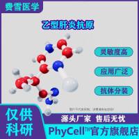 乙型肝炎表面抗原HBsAg ,乙型肝炎e抗原 HBeAg,乙型肝炎核心抗原HBcAg