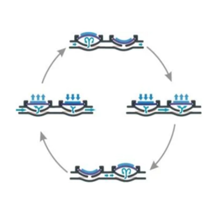 德国Bartels微泵产品介绍
