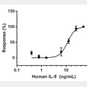 Recombinant Pig IL8 protein