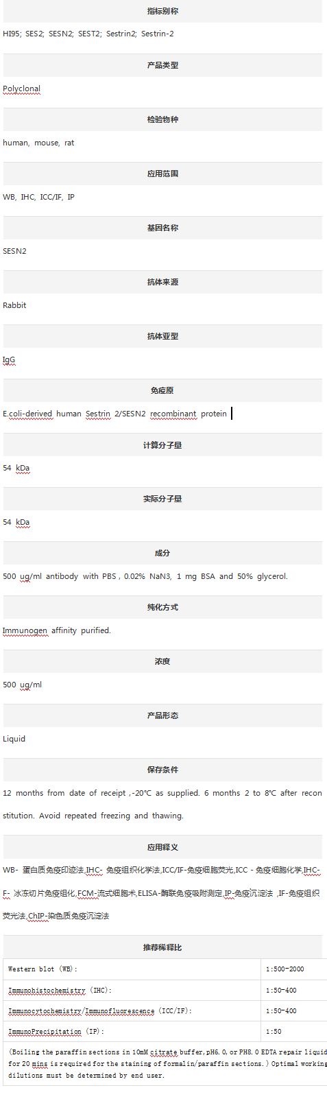 Anti-Sestrin 2/SESN2 antibody