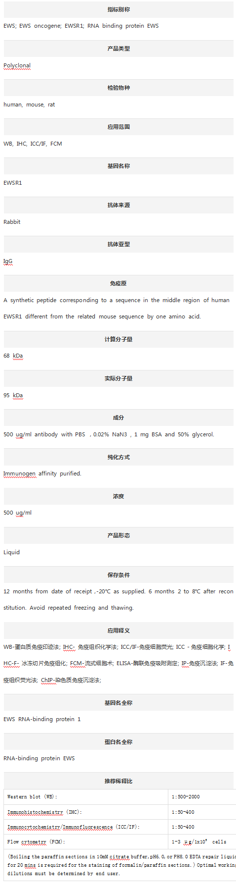 Anti-EWS/EWSR1 Antibody