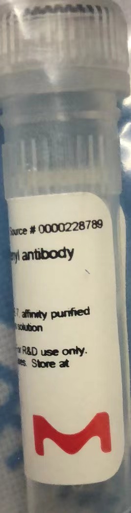 Sigma货号D8406-100μg抗二硝(xiāo)基苯单