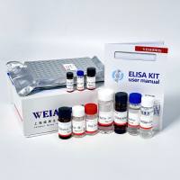 ELISA 试剂盒试用装