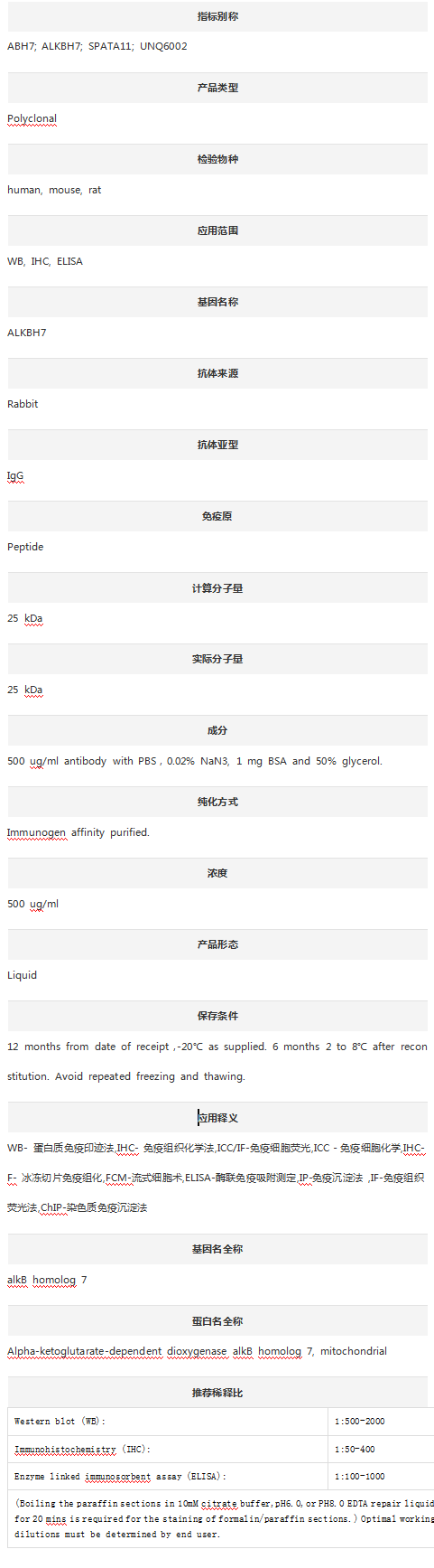 Anti-ALKBH7 Antibody