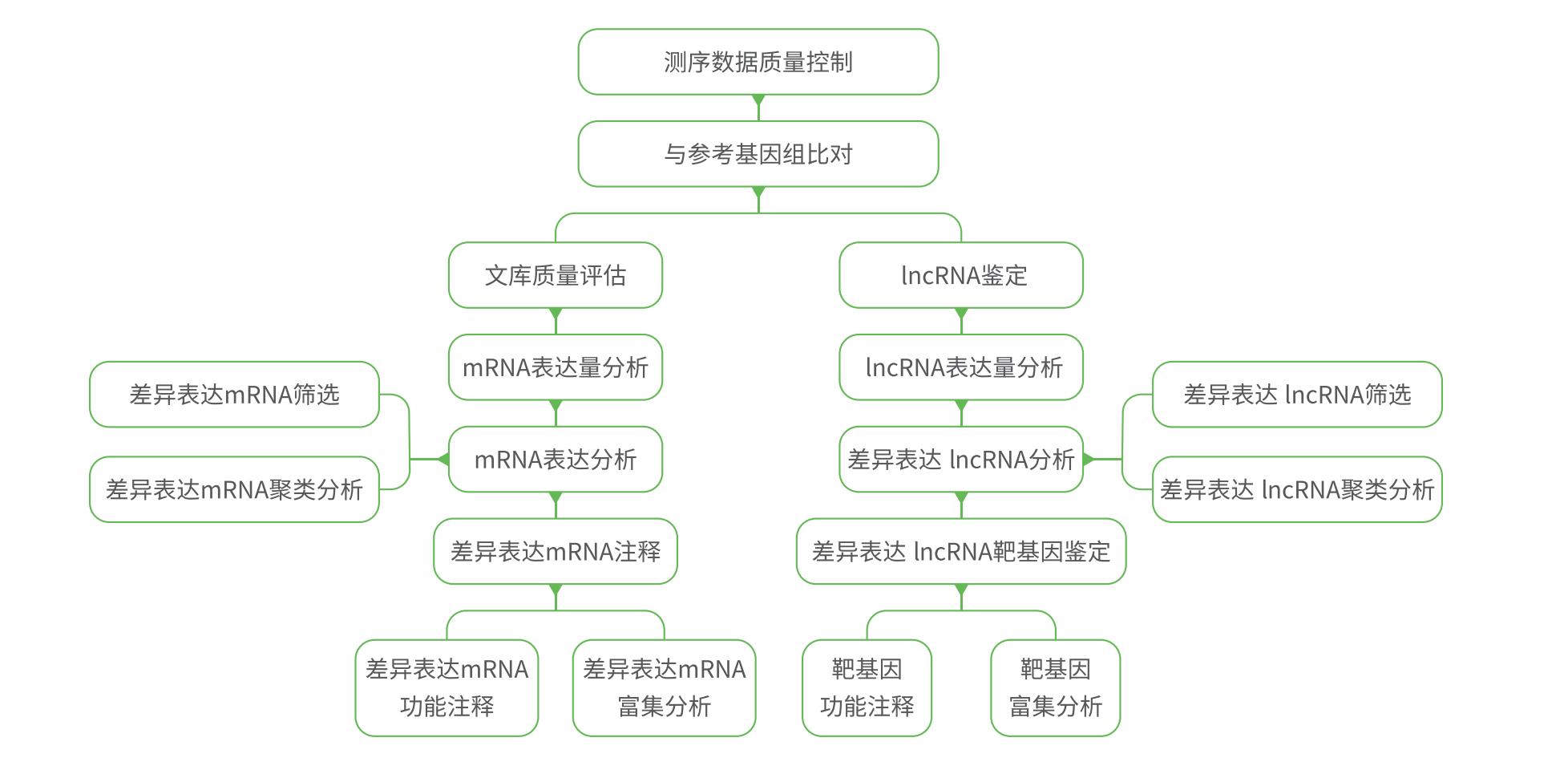 产品细节图片2