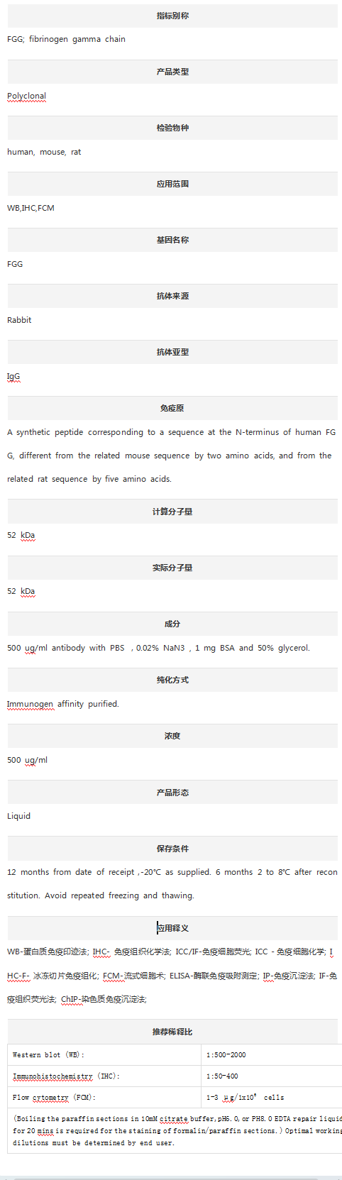 Anti-Fibrinogen Gamma Chain/FG