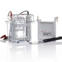 Invitrogen™Western 印迹设备和耗材系列产品