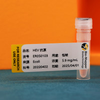 戊型肝炎病毒hev