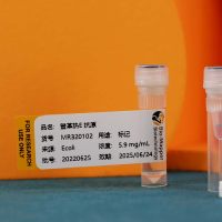 登革热 NS1 抗体/Dengue NS1 antibody