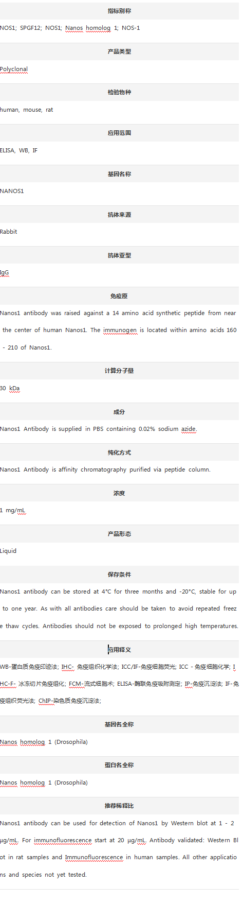 Anti-NANOS1 Antibody