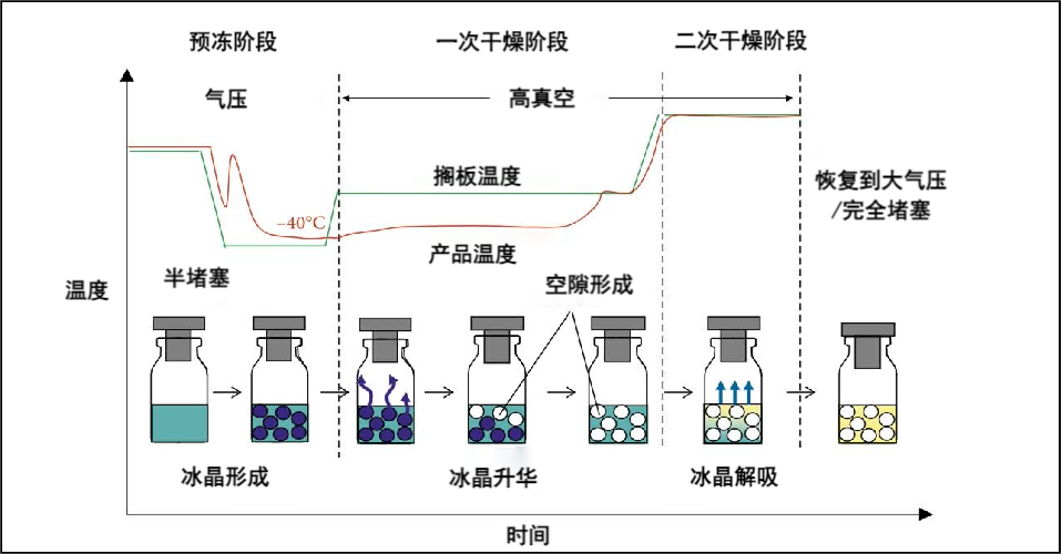 虹科方案 | 如何实现冻干机和产品全生命周期的验证和监测？