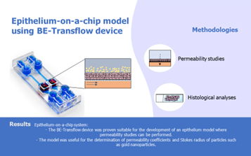 点成案例 | BE-Transflow芯片构建上皮模型用于渗透性研究