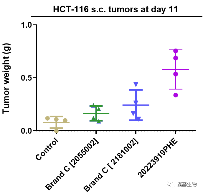【每周质检】 模基vsC品牌基质胶：成瘤实验报告分析