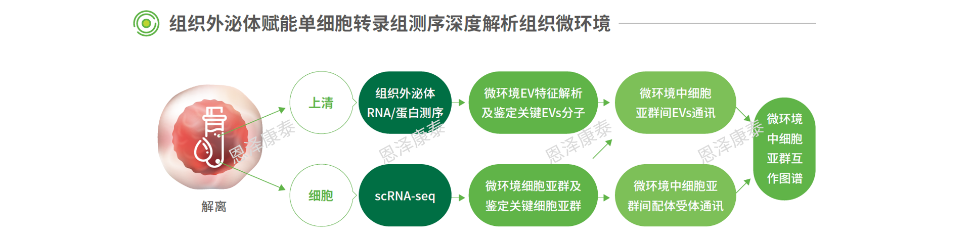 产品细节图片3