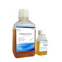 胎牛血清（特级）