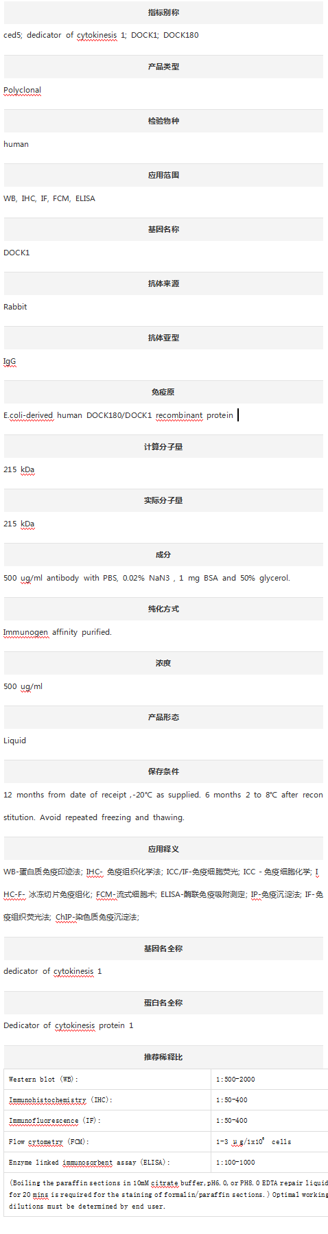 Anti-DOCK180/DOCK1 Antibody