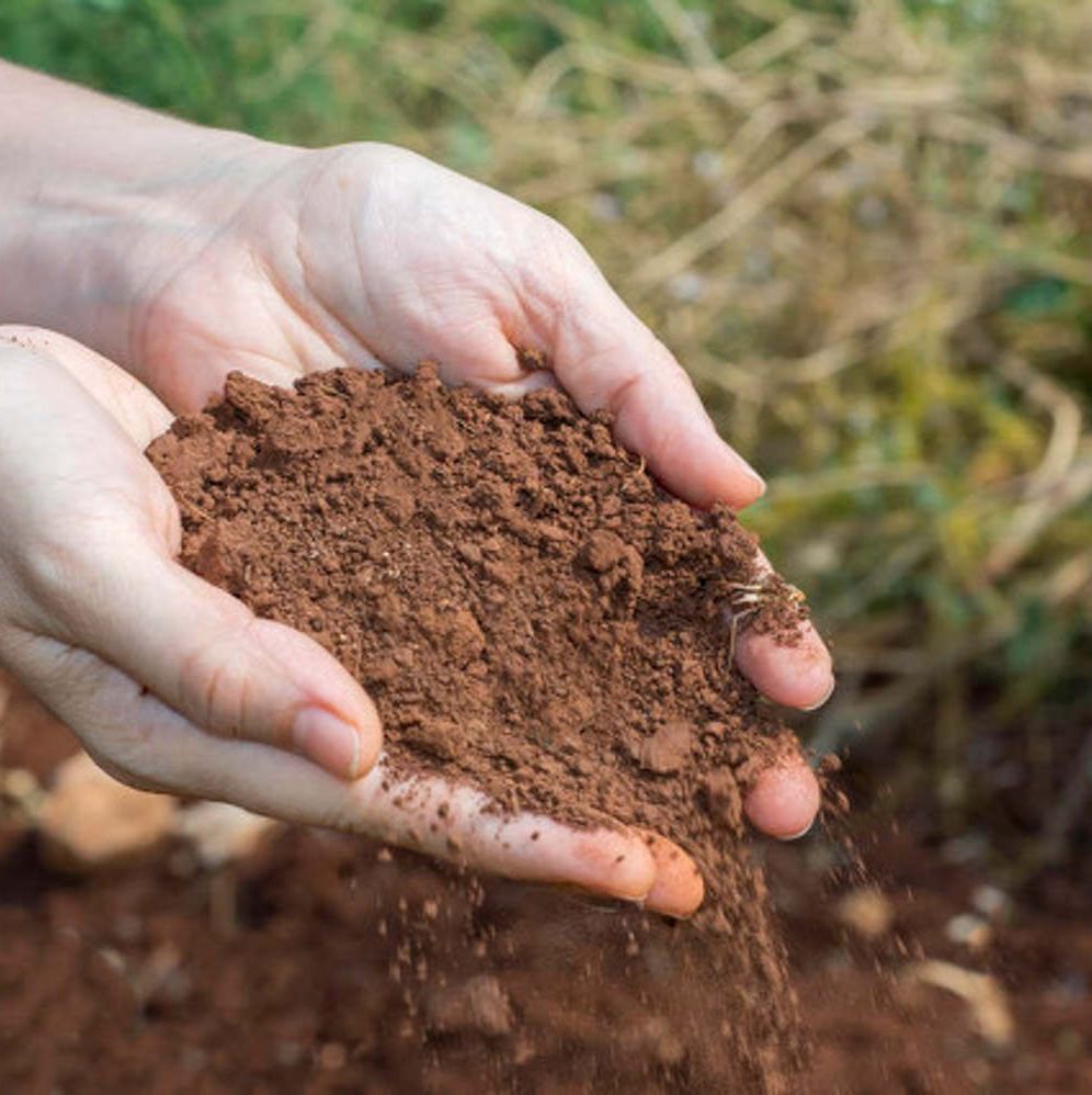 土壤8项检测_土壤常规八项检测_土壤有机碳检测