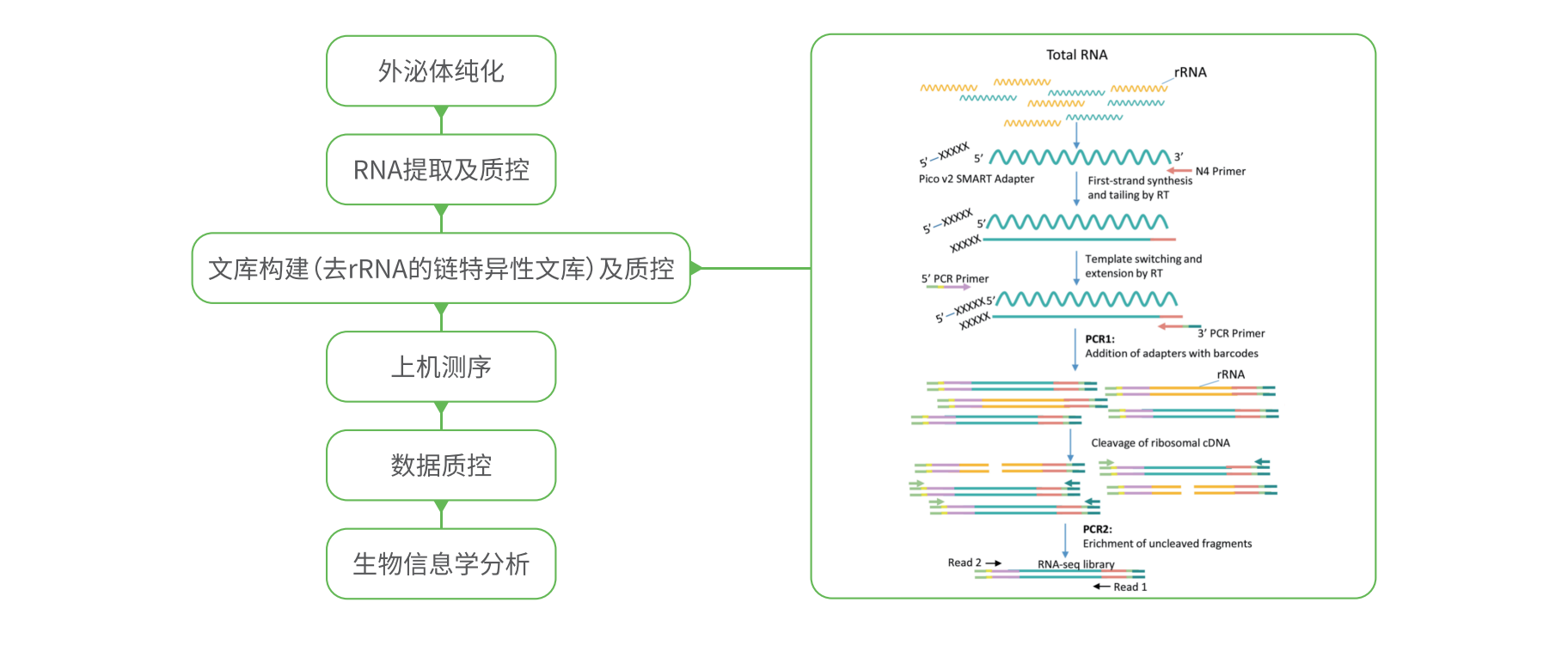 产品细节图片1