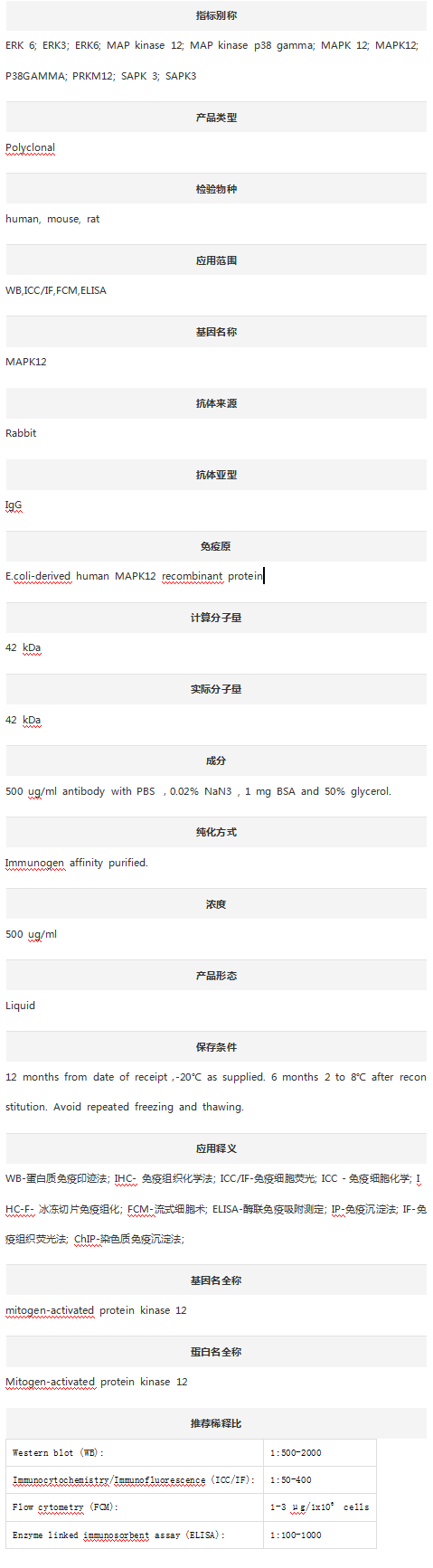 Anti-MAPK12 Antibody