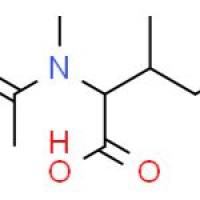 N-羧基-异亮氨酸甲酯