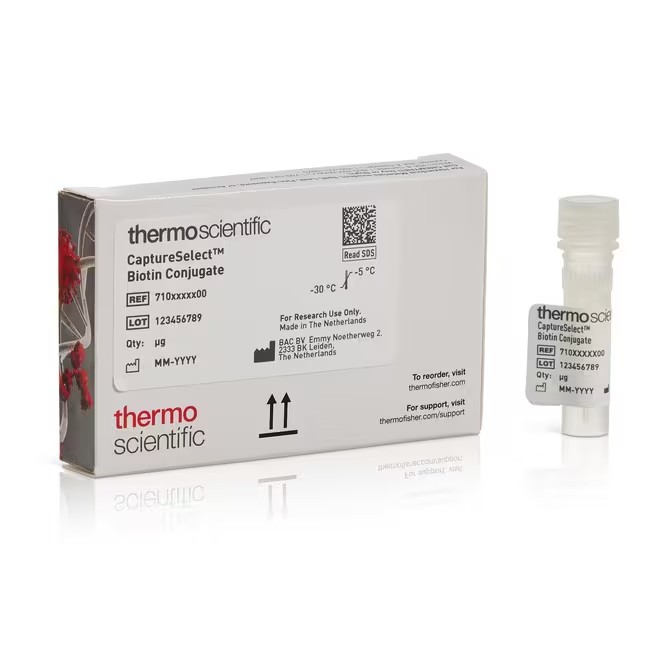 Invitrogen™Western 印迹和核酸膜及滤纸、通