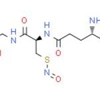 S-NITROSOGLUTATHIONE
