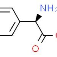 左旋苯甘氨酸