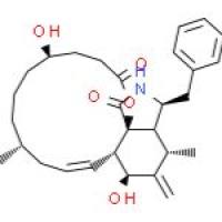 二氢细胞松弛素