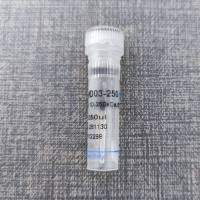 Multi-color Prestained Protein Marker(10-250KDa)