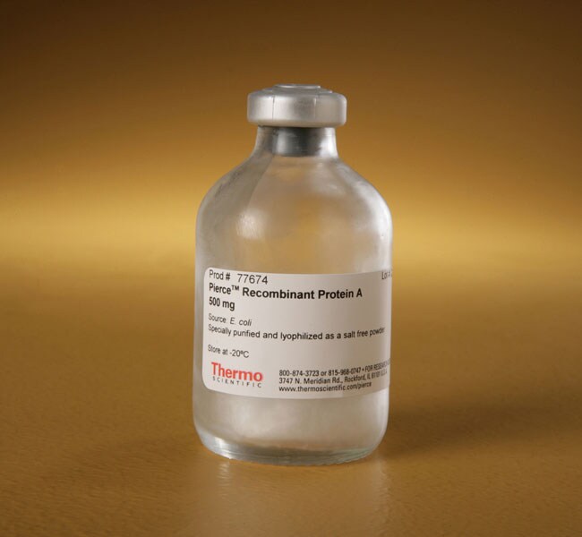 Invitrogen™Western 印迹和核酸膜及滤纸、通