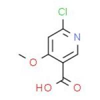 6-氯-4-甲氧基烟酸