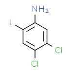 4,5 - 二氯-2-碘苯胺