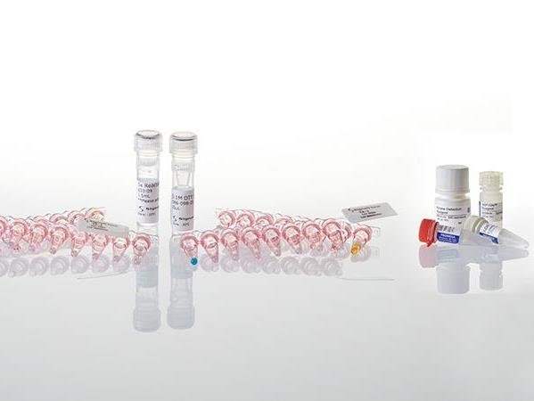 产品细节图片66