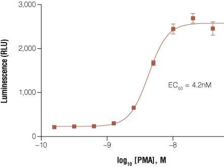 产品细节图片41