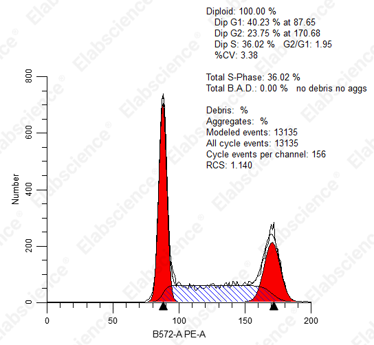细胞周期检测异常实验结果分析