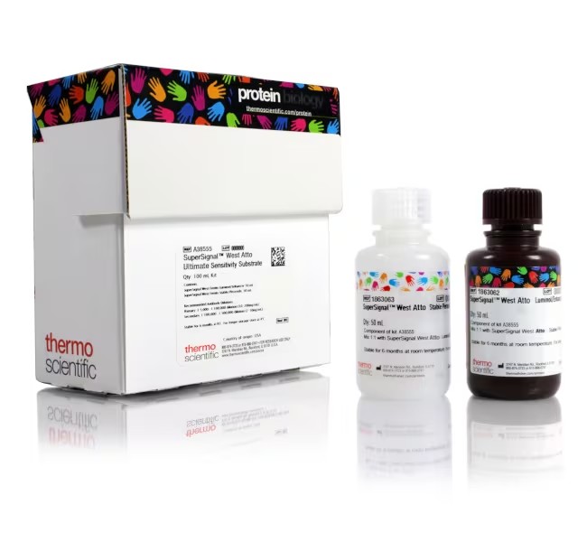 Invitrogen™Western 印迹和核酸膜及滤纸、通