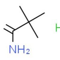 2,2-二甲基丙亚胺盐酸