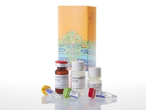 产品细节图片25