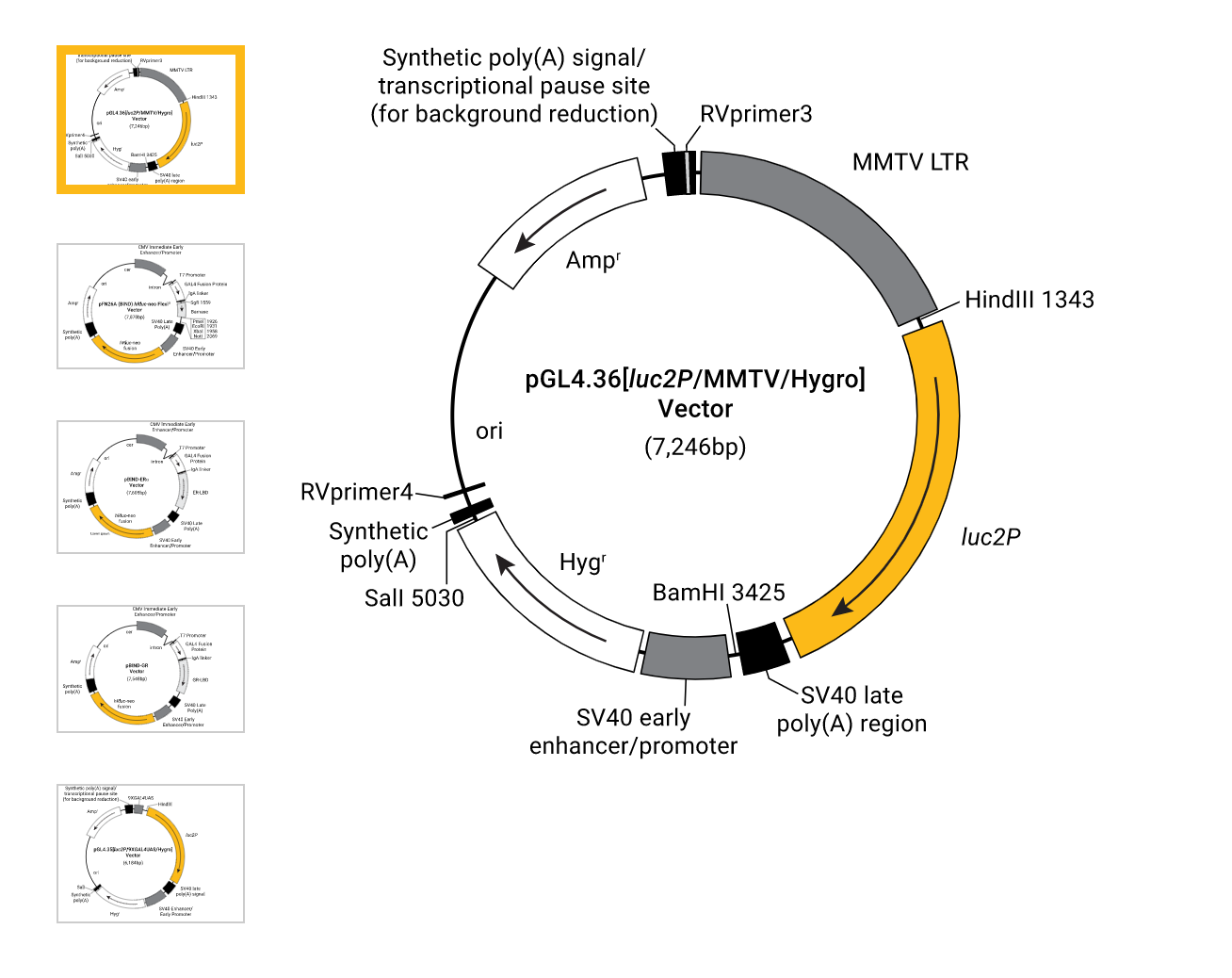 产品细节图片53