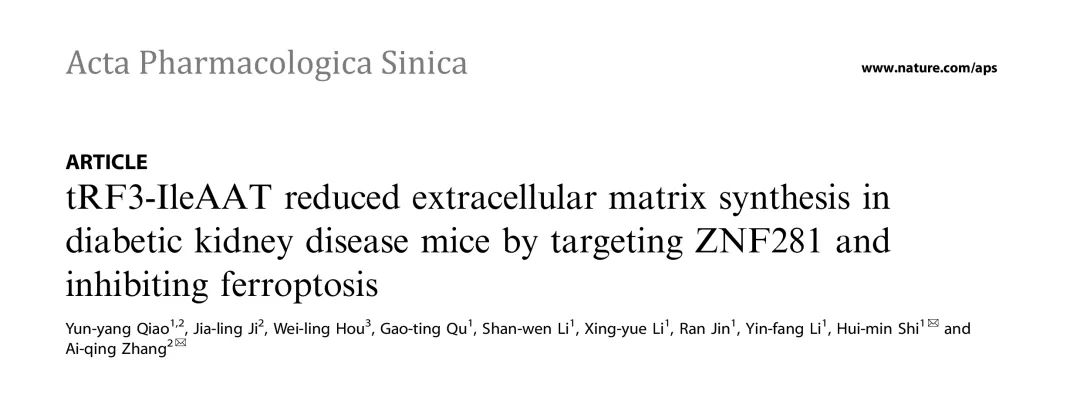 Nature子刊丨南医大团队揭示tRF3-IleAAT减少DKD小鼠ECM合成的分子机制