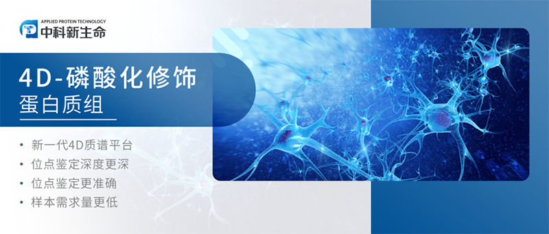 磷酸化组立新功！Neuron(IF:16.2)发表标识神经活性下降/关闭的标志物