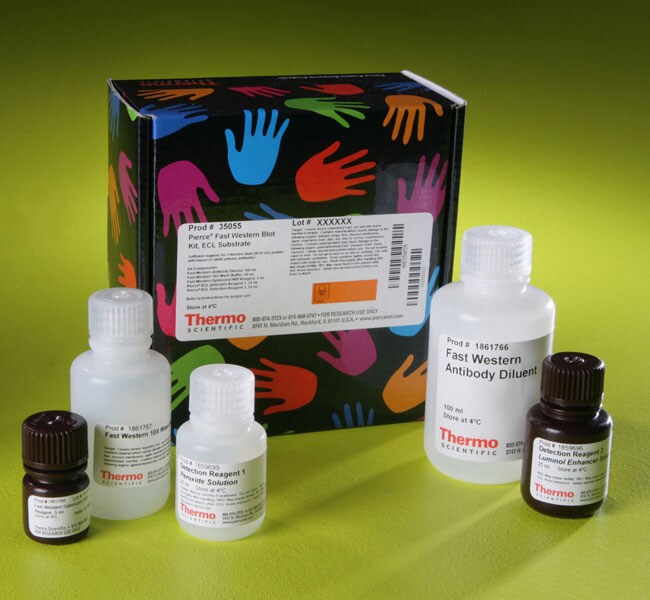 Invitrogen™Western 印迹和核酸膜及滤纸、通